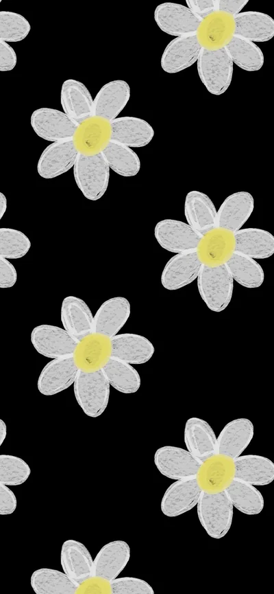 White Daisies Scattered on Black HD Phone Wallpaper