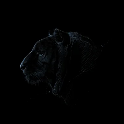 Dark Profile Wallpapers