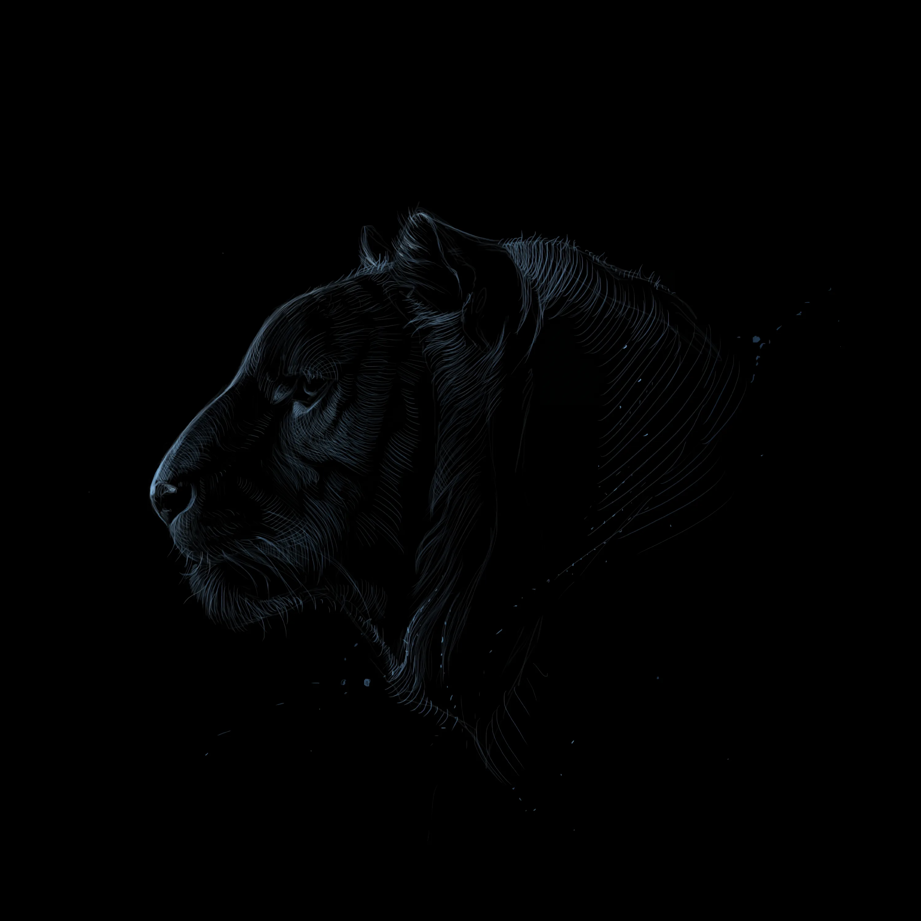 Dark Profile Wallpapers