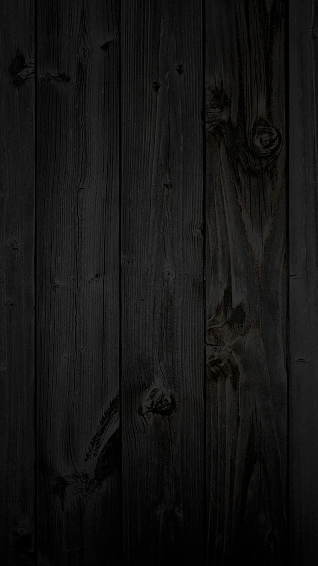 Weathered planks stand vertically in charcoal grey-black, knots and splits visible where the grain has dried and cracked.