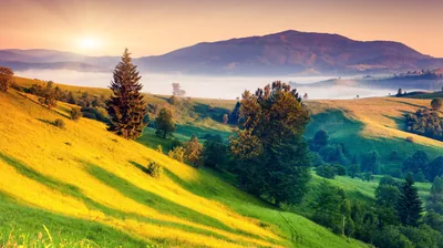Sunlit Hillside Over a Misty Valley HD Wallpaper