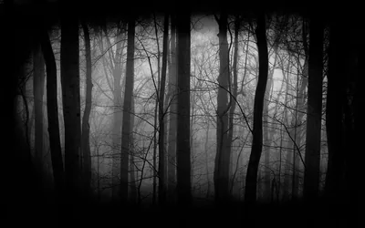 Horror Black Wallpapers 4k, HD Backgrounds