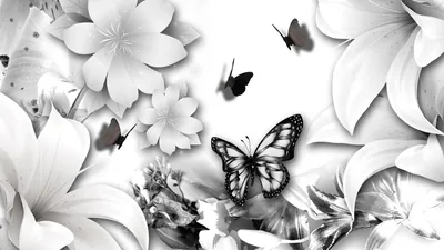 Black Wallpaper With Butterflies Wallpapers