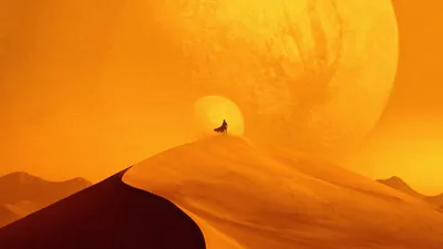 Dune Warm Sand Desert Wallpaper