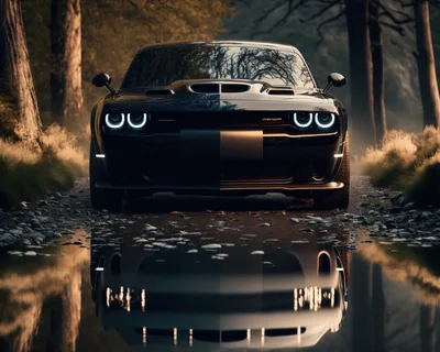 Black Dodge Challenger on a Forest Road HD Wallpaper