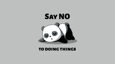 Say No The Ultimate Funny Panda HD Wallpaper