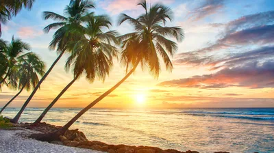 Tropical Beach Sunset Wallpapers