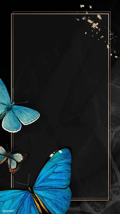 free Black Butterfly Aesthetic Wallpaper