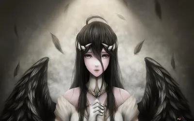 Beautiful Anime Dark Angel