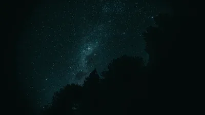 serene night sky filled with stars and the Milky Way, seen above the silhouette of fore
