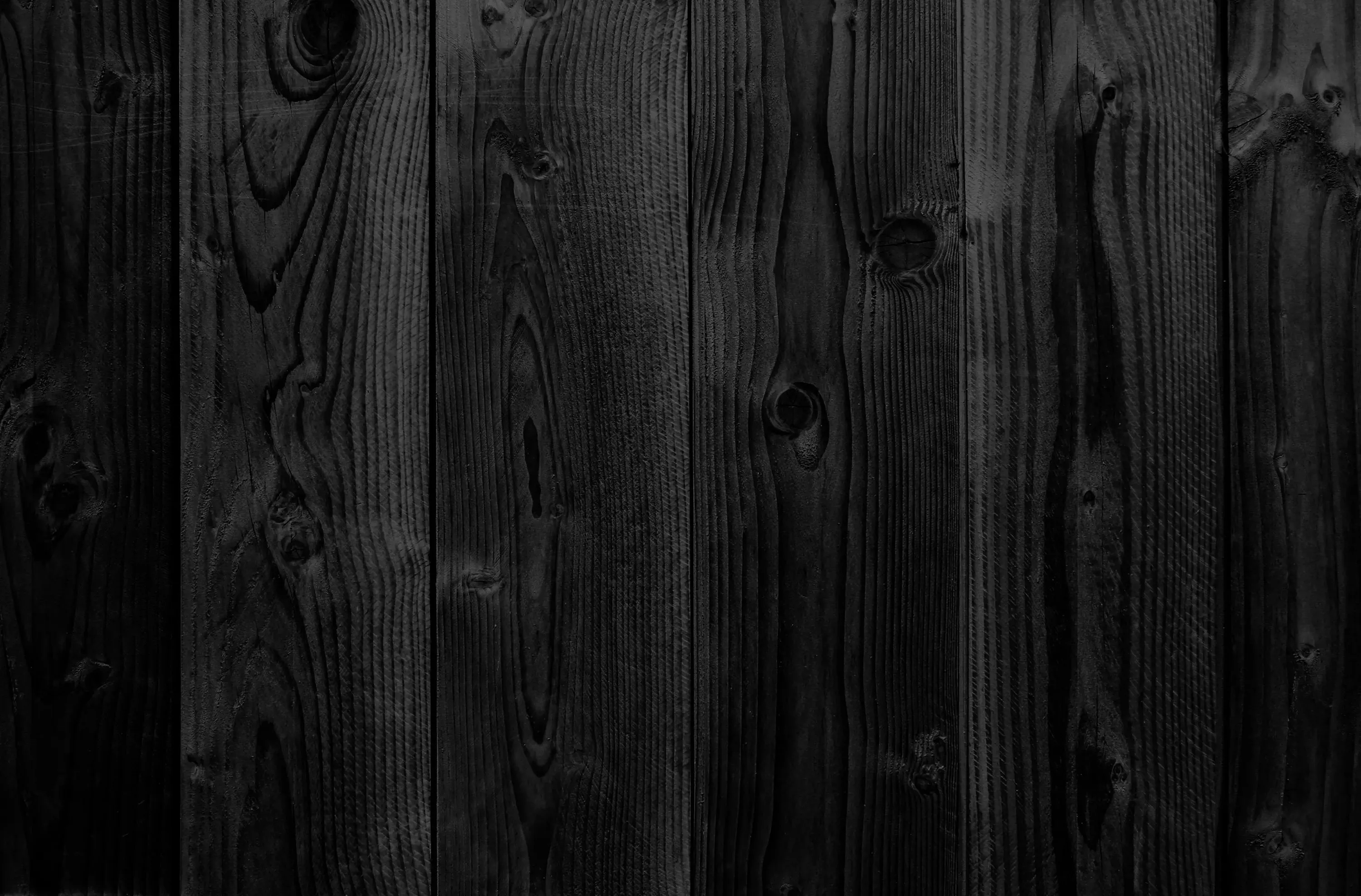 Black-painted boards stand upright with grain ridges showing through the paint, knots marking the centre-right plank, and light falling gently from the top left.