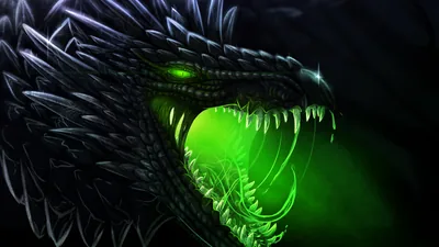 Black Dragons Wallpaper