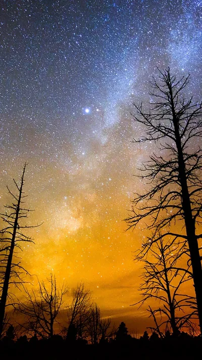 Android Aesthetic Wallpaper