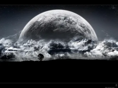 Black Moon Wallpaper 4K Wallpaper and Background