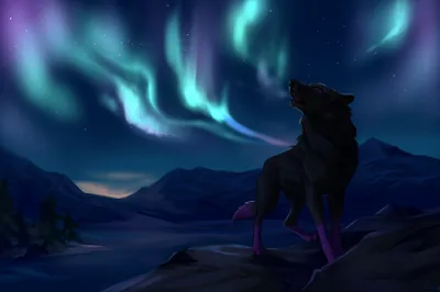Cool Wolf Wallpapers images