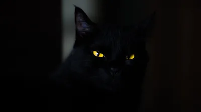 Glowing Yellow Eyes in a Dark Room HD Wallpaper