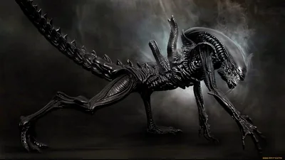 Aliens Desktop Hd Wallpapers Alien Desktop 1080P, 2K, 4K, 5K