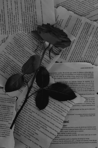 Old Love Style Book with Torn Pages and Rose