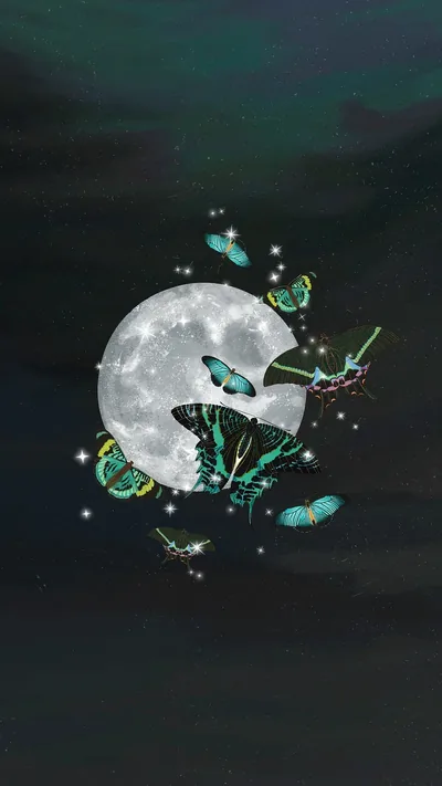 Butterflies Flying Across the Moon HD Phone Wallpaper