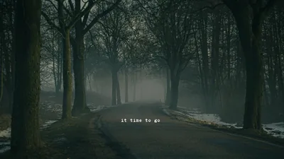Foggy Road with Bare Trees HD Wallpaper