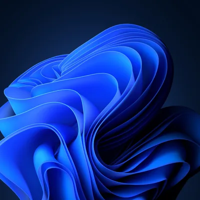 Blue Ribbon Bloom on Deep Navy HD Wallpaper