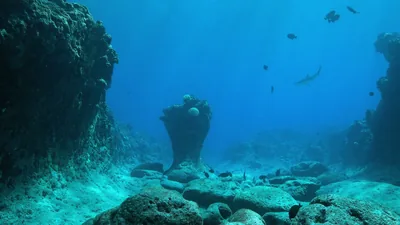 Rocky Seafloor in Clear Blue Water HD Wallpaper