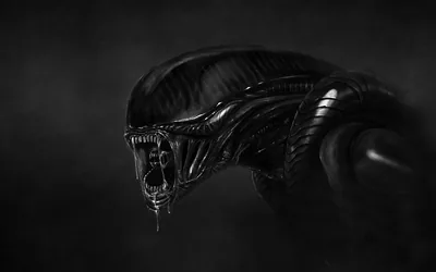 Black Alien Wallpaper
