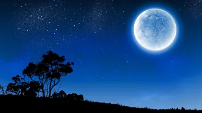 Lone Tree Under a Bright Moon HD Wallpaper