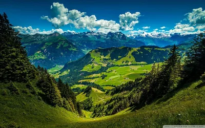 Lookout Over a Green Alpine Valley HD Wallpaper