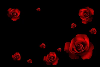 Dark Roses Aesthetic Wallpapers Dark Roses Aesthetic
