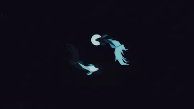 Fish Dark Minimal Laptop Full HD 1080P, HD 4k Wallpapers, Images, Backgrounds