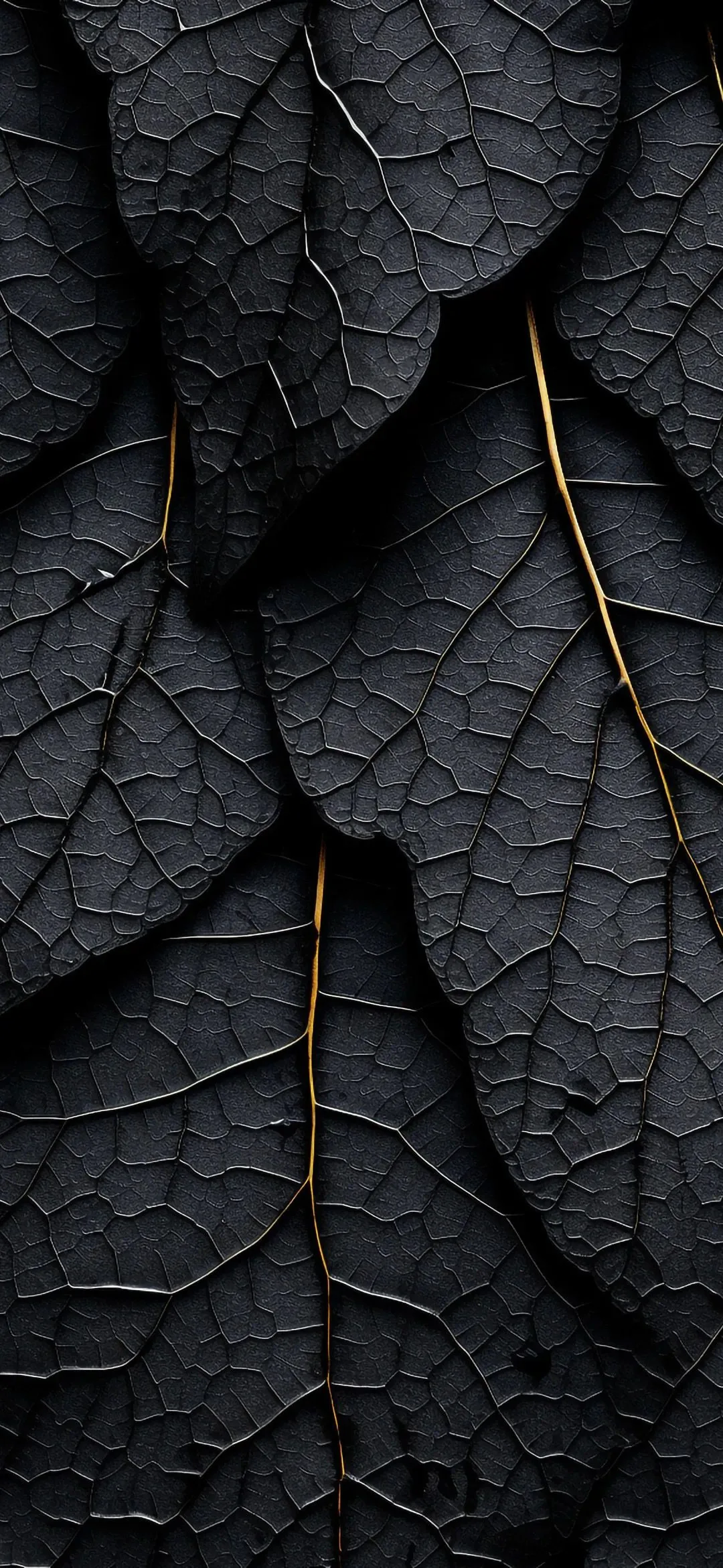 Pure Black Mobile Wallpaper 4K