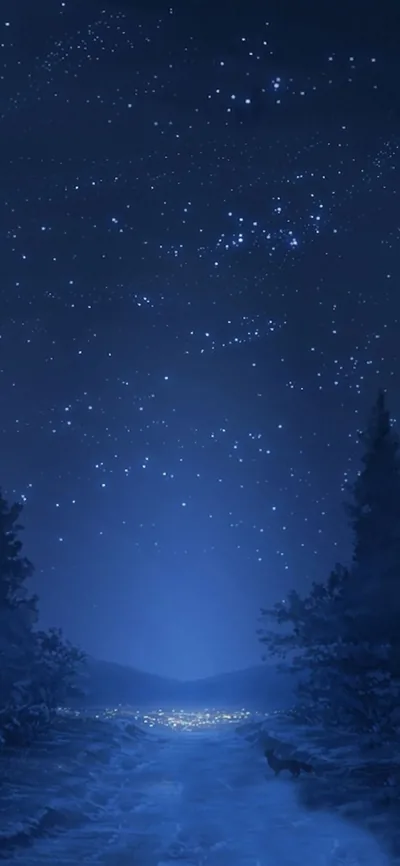Winter Night Sky over a Snowy Valley HD Phone Wallpaper