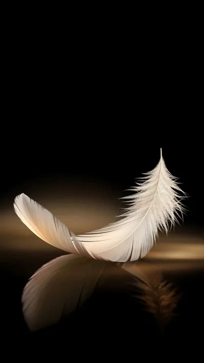 IPhone Black Feather Wallpaper