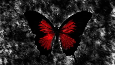 Black And Red Butterfly Wallpaper