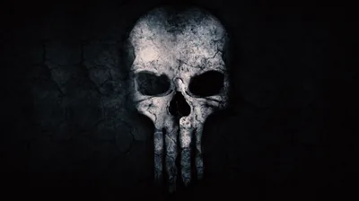 Stone Skull With Four Fangs HD Wallpaper