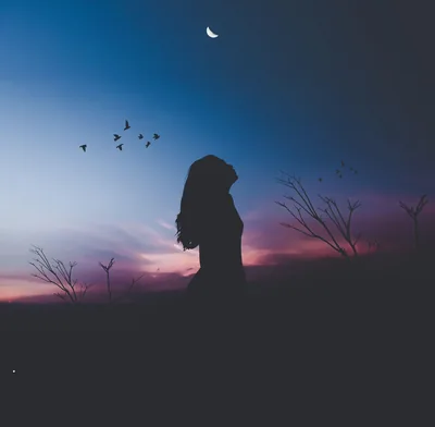 Alone Nature Wallpapers Alone Nature Backgrounds