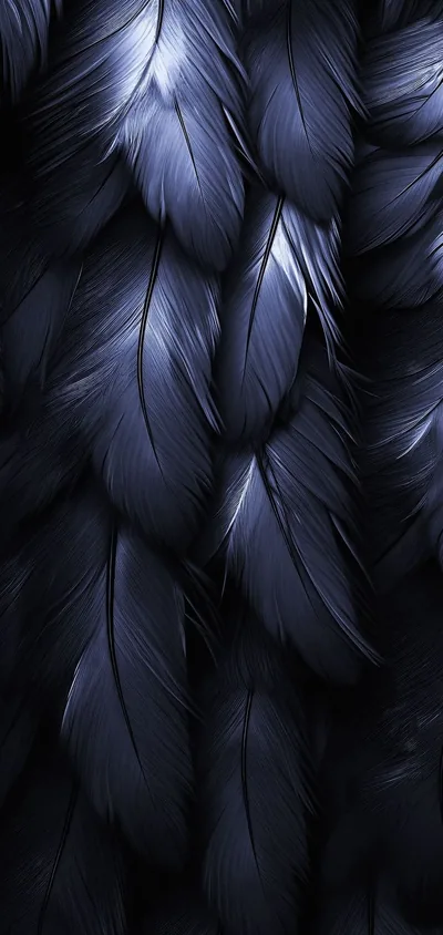 IPhone Black Feather Wallpaper HD