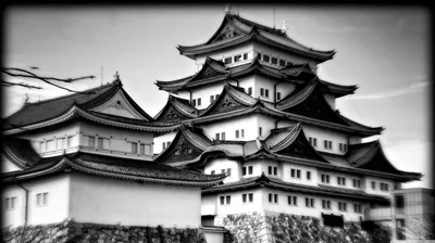 Historic Japanese Castle in Monochrome HD Wallpaper
