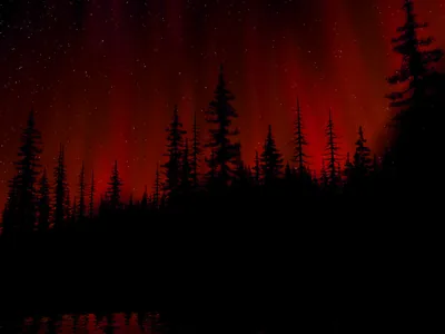 Red Aurora over Pine Silhouettes HD Wallpaper