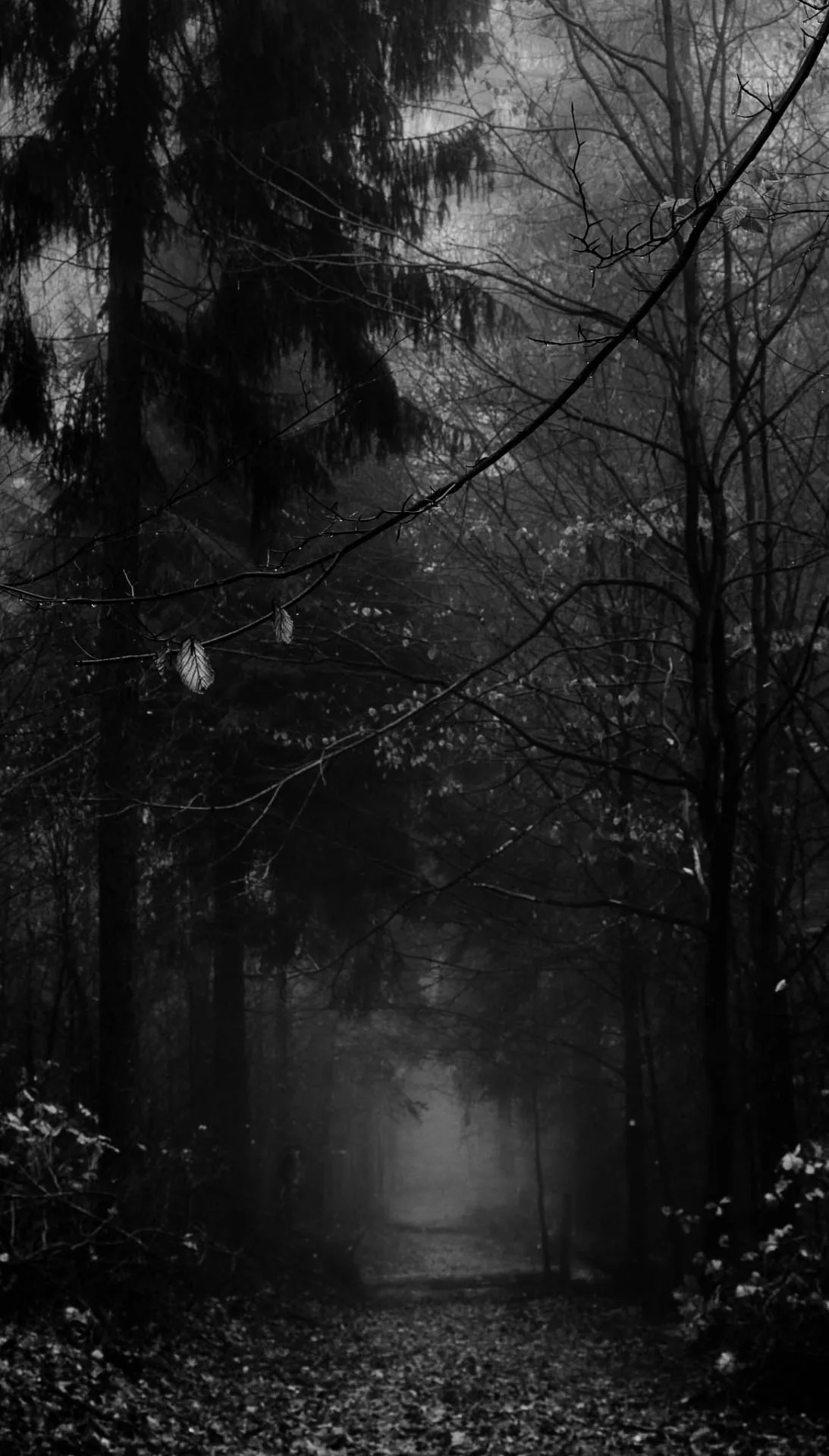 Dark Vintage ideas