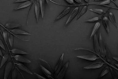 Black Bamboo Leaves Flat Lay HD Wallpaper