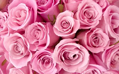 Girly wallpapers HD