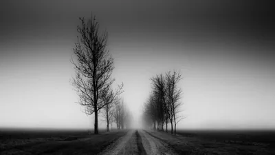 Monochrome HD Wallpaper