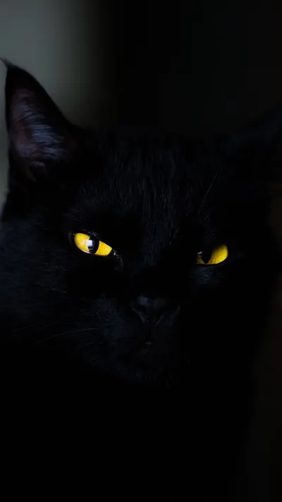 Iphone 6 Wallpapers Dark