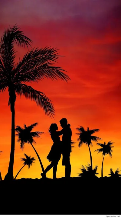 Couple Silhouette in a Palm Sunset HD Phone Wallpaper