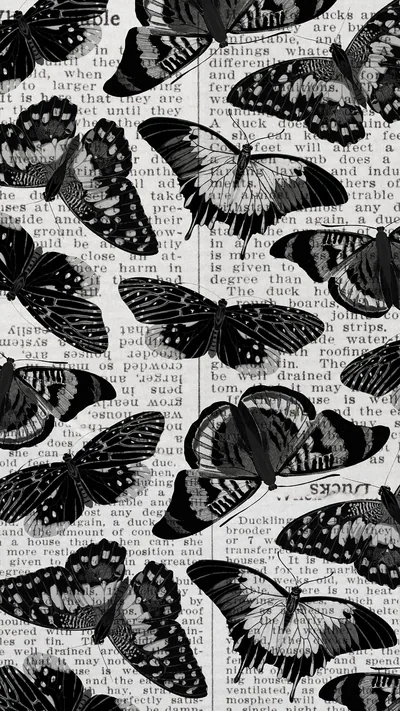 Black Butterfly Wallpaper Images