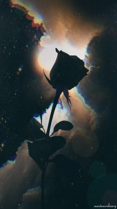 Rose Silhouette Against Cosmic Light HD Phone Wallpaper