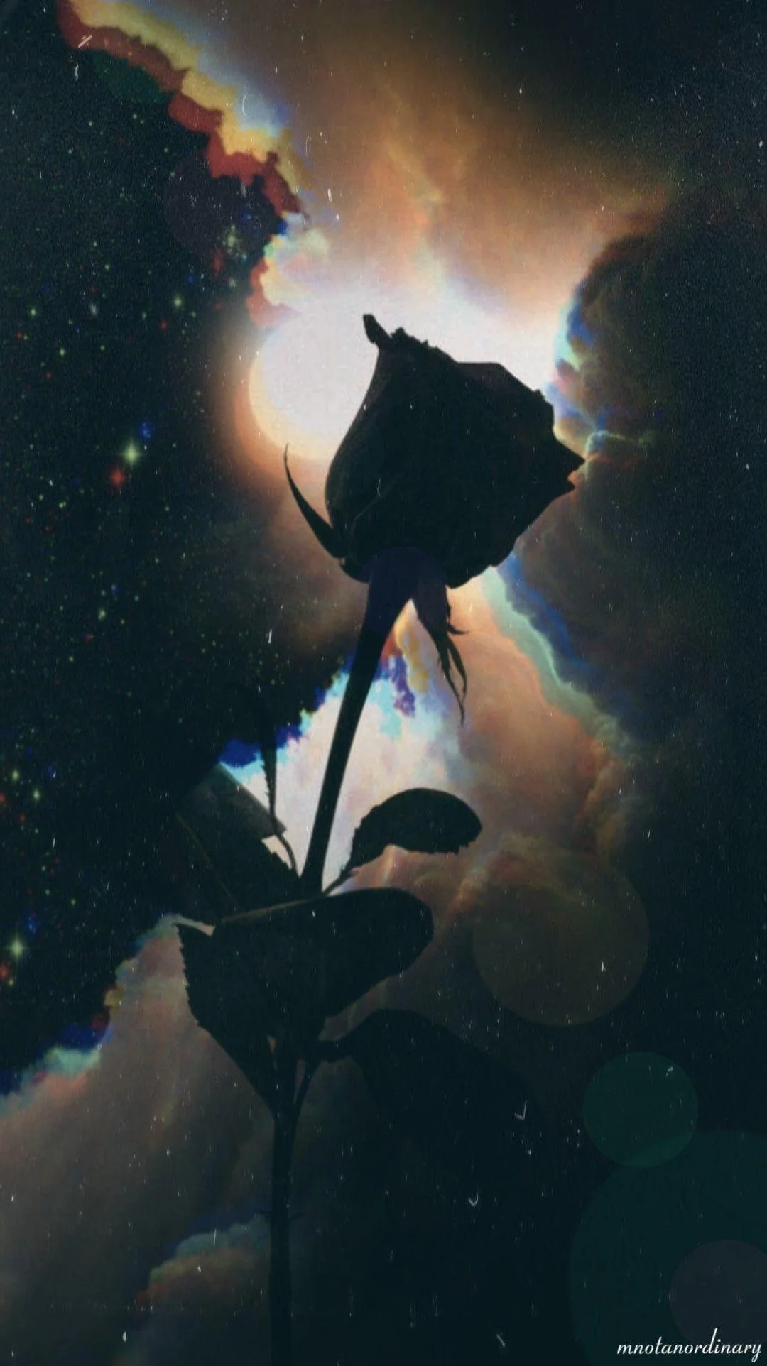 Aesthetic Background Black Rose Wallpaper See more of aesthetic