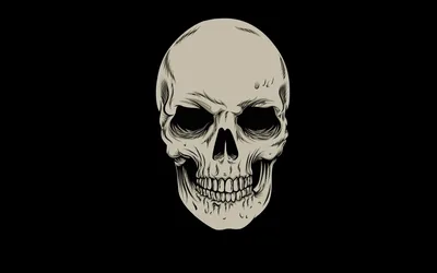Minimalist Skull Illustration on Black HD Wallpaper